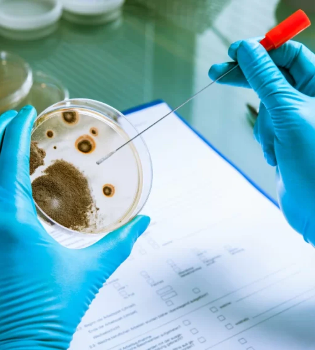 Microbiology