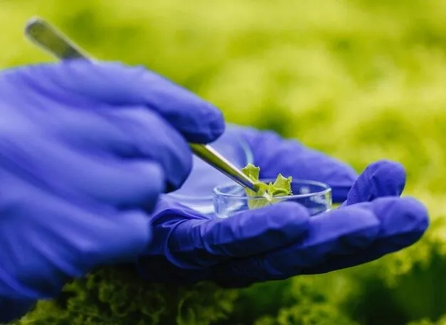 Innovative teaching & learning practices