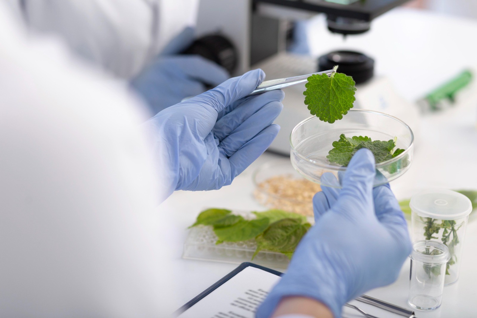 Food Technology